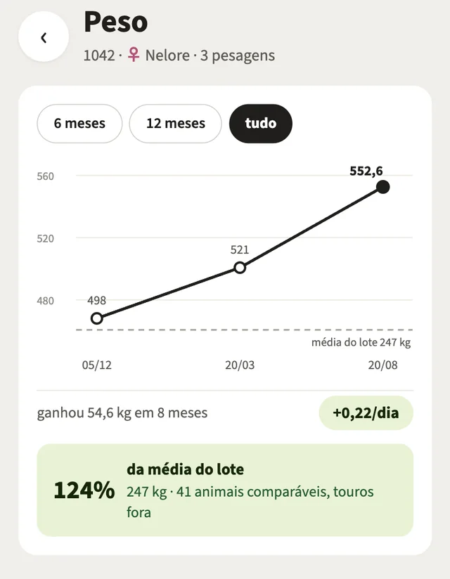 Tela de peso da 1042: gráfico de 498 a 552,6 kg, ganho de 0,22 kg por dia e 124% da média do lote.