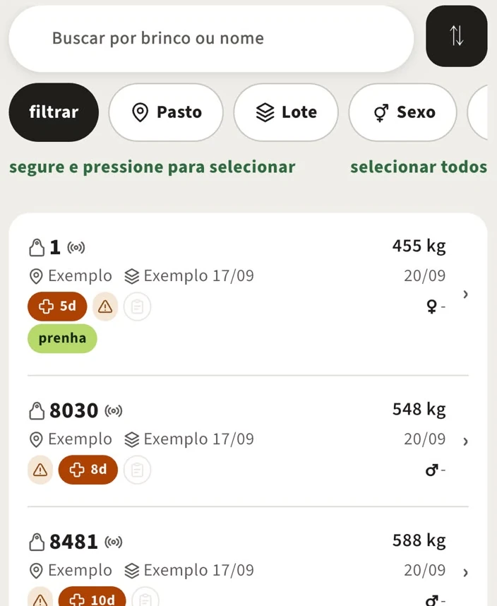 Lista do rebanho: busca por brinco, filtros de pasto, lote e sexo, e os cartões dos animais com peso, pasto, lote e avisos.